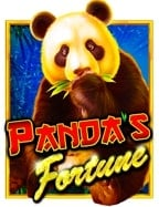 เว็บ แทง บอล ส เต็ ป 2 กับประสบการณ์ทดลองเล่นที่สุดยอด